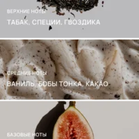 Картинка отражает ноты для композиции Black River