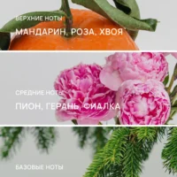 Ароматические ноты парфюма The Secret Spring: верхние — мандарин, роза, хвоя; средние — пион, герань, фиалка; базовые — мускус, ветивер, кедр.