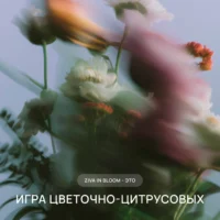 Размытые цветы в движении, игра цветочно-цитрусовых нот парфюма Ziva in Bloom