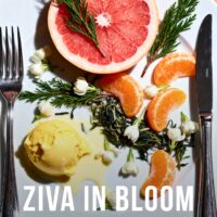 Цветочная сервировка блюда, вдохновлённая концептуальным парфюмом Ziva in Bloom.