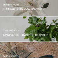 Отражены ноты композиции Mara's Maze от Gematria