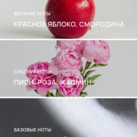 Парфюмерная композиция Breath of Lelya: верхние ноты красное яблоко и смородина, средние ноты пион, роза и жасмин, базовые ноты замша и белый мускус