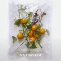 Вакуумный пакет с мандаринами, листьями и зеленью в художественной композиции. Атмосфера свежести и чистоты. Текст: The Secret Spring — это ода кристальной свежести.