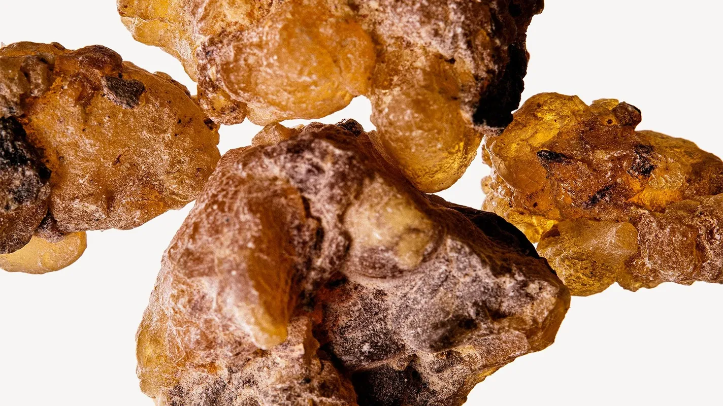 Нота Амбра в парфюмерии: раскрываем чем пахнет Амбра. Запах Амбры применяется для придания композиции плотной бальзамической глубины, древесной сухости и мягкой животной теплоты.