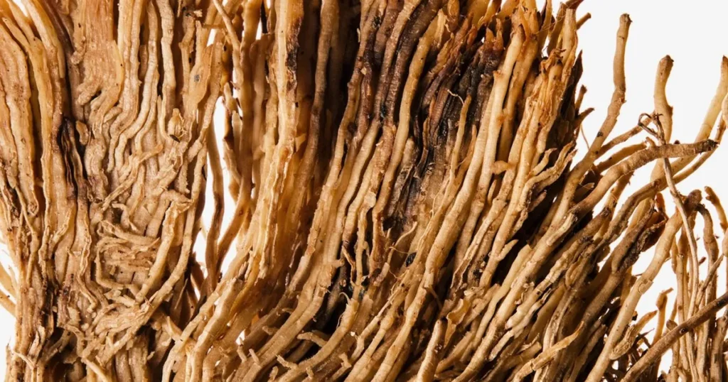 Ветивер — аромат земли, дыма и древесной прохлады. Нота ветивер раскрывается медленно и благородно, а базовые ноты ветивера обеспечивают стойкость и парфюмерный баланс.