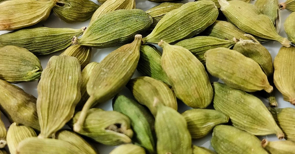 Чем пахнет кардамон: аромат и свойства. Запах кардамона в парфюмерии — холодный, пряный, зелёный и камфорный, придающий композициям структурную свежесть и чистый пряный акцент.