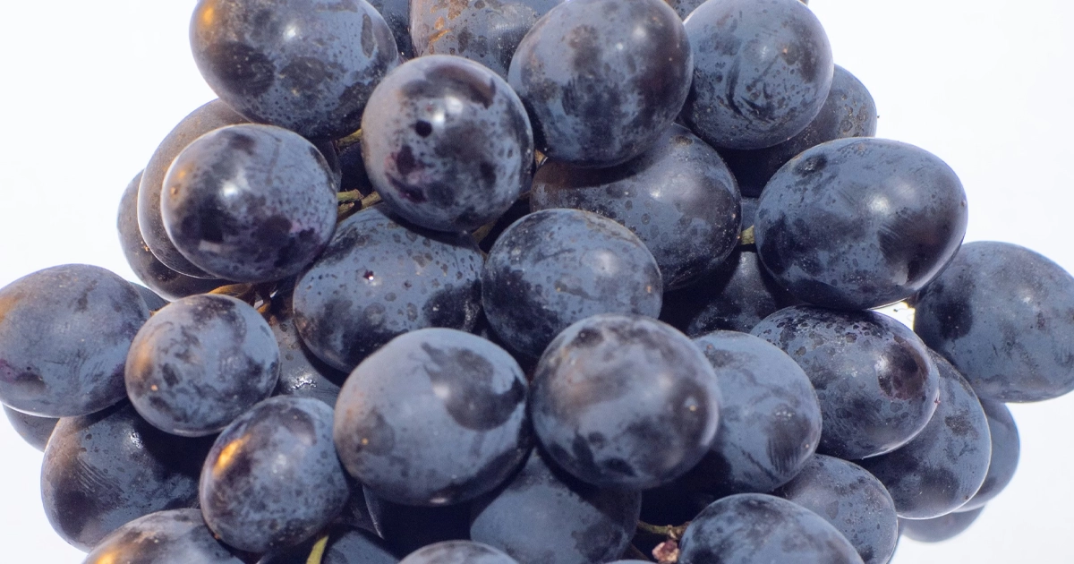 Красный Виноград. Ноты в парфюмерии: аромат винограда звучит как структурированная комбинация фруктоновых, зелёных и лактоновых компонентов.