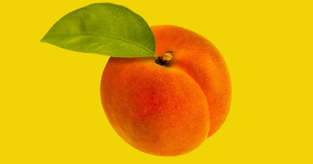 Нота персик: в парфюмерии усиливает кремовую теплоту и мягкую сладость. Запах Персика: сочный и округлый.