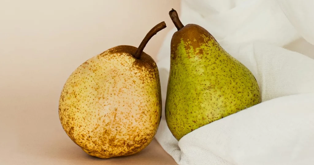 Груша. Аромат и запах груши. Нота в парфюмерии. Сочный фруктовый аккорд с мягкой сладостью и лёгкой свежестью, который открывает композицию ярким, живым звучанием и подчёркивает её природную чистоту.