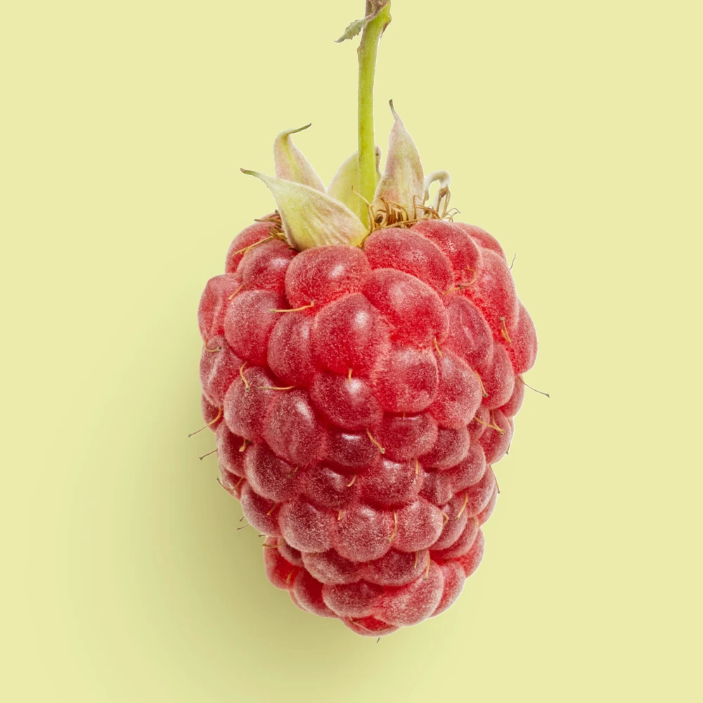 Малина. Аромат малины. Ноты малины в ярких фруктовых композициях В композиции Малина даёт сочную динамику, а Аромат малины добавляет прозрачную сладость, которую подчёркивают Ноты малины, формируя живой и естественный ягодный характер изображения.