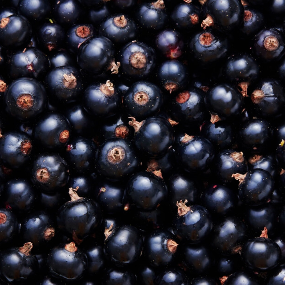 Черная смородина: ноты в парфюмерии. Запах смородины: ароматы этой ноты формируют влажный ягодно-зелёный профиль с мягкой кислотой и растительной тенью.