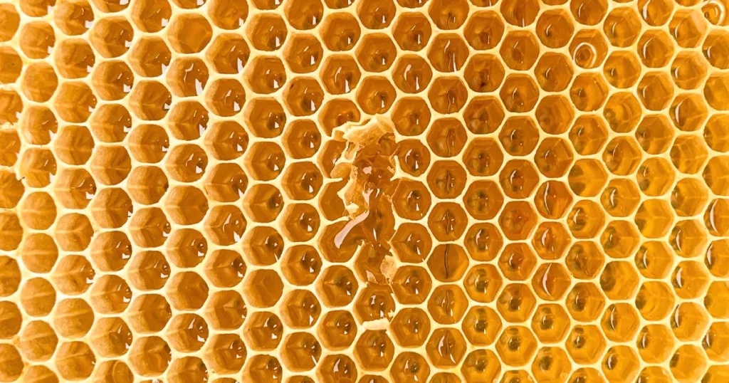 Нота Меда в парфюмерии. Как раскрываются ароматы с медом: сладкие и смолистые оттенки дают плотный тёплый объём, связывают древесные и амбровые детали и усиливают стойкость аромата.